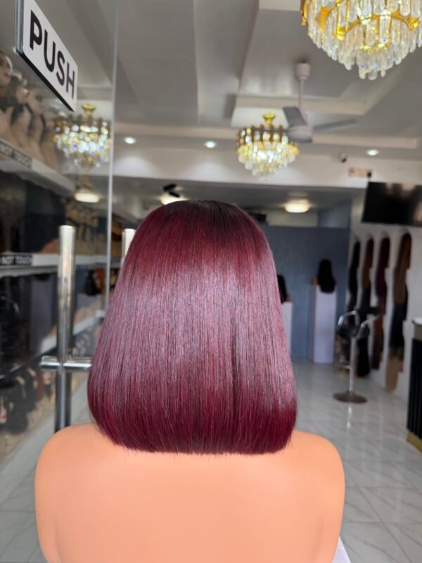 IMG_1821 10β³ Vietnamese SDD Bone Straight 2*6 Closure - Dark Burgundy