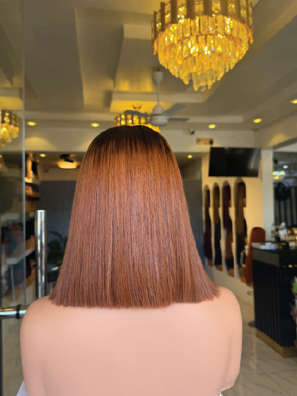 10" Vietnamese bone straight with 2*6 closure two toned